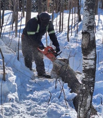 484774354_122213409068205141_19168749002714864_n