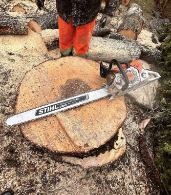 494989123_122223615014205141_5303892934678298544_n