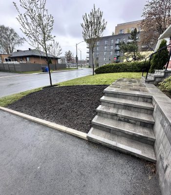 503705427_122230073036205141_8319398278737460377_n