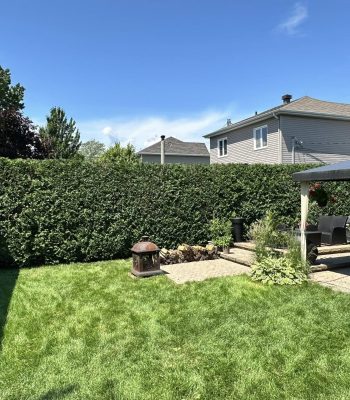 519626907_122239052636205141_330825909104368973_n