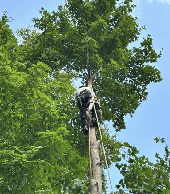 590359743_122262992738205141_6061008873326627922_n