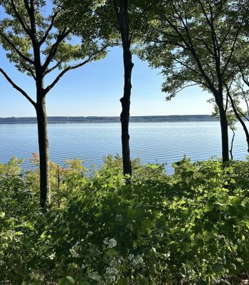 590863378_122263001024205141_2371689288479638613_n