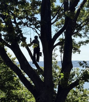 591422222_122263000862205141_1179947161119644395_n