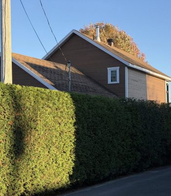 591648559_122263002236205141_6379897789691349983_n