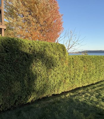 592146392_122263002362205141_5027718740760639283_n