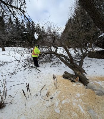 651239700_122278952354205141_8865650424849067486_n