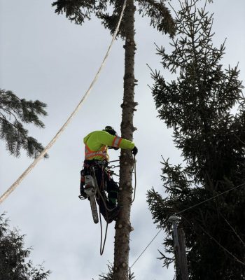 651884911_122278952420205141_1562713207173650935_n